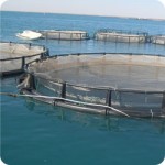 development_aquaculture